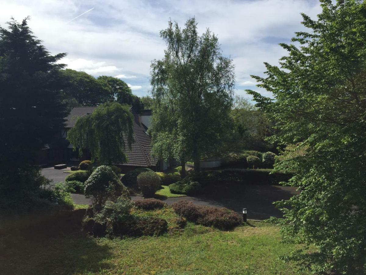 Tudor Lodge Guest Accommodation Bunratty Exterior foto
